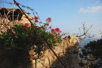 Прикрепленное изображение: flw_0127.jpg